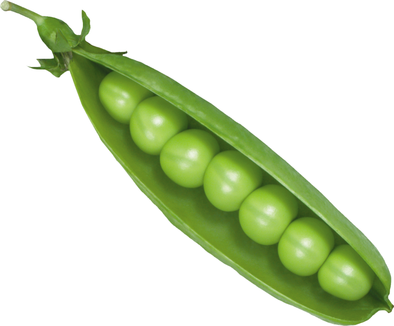 Petits-pois tout frais.